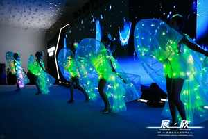 Disfraz de Danza del Vientre WL-0160 Isis con Alas LED, Talla Adulto, Disfraz con Alas de Ángel de Plumas Blancas - Product Image 6