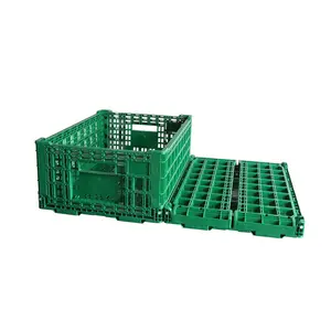 बिक्री के लिए कृषि हेवी ड्यूटी मूविंग टर्नओबर वेंटेड मेश फोल्डेबल कोलैप्सिबल प्लास्टिक फल सब्जी क्रेट बॉक्स