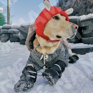 Dogs <b>Long</b> Tube Rain Shoes Waterproof Rubber Winter Outdoor Anti <b>Slip</b> Pet Shoes For Medium Large Dogs - Product Image 1