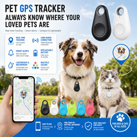 Collier de localisation GPS intelligent Bluetooth longue portée, étanche, avec suivi en temps réel, anti-perte, pour chat, chien et autres animaux de compagnie, avec logo.