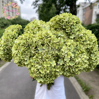 Bunga Hydrangea Buatan Besar Warna Putih Hijau Diameter 30cm Grosir untuk Dekorasi Pernikahan