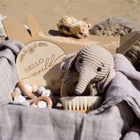 Coffret Cadeau Personnalisé pour Bébé Nouveau-né avec Animaux (Lion, Lapin, Ours, Cerf, Dinosaure, Éléphant) - Grande Boîte avec Emballage Cadeau