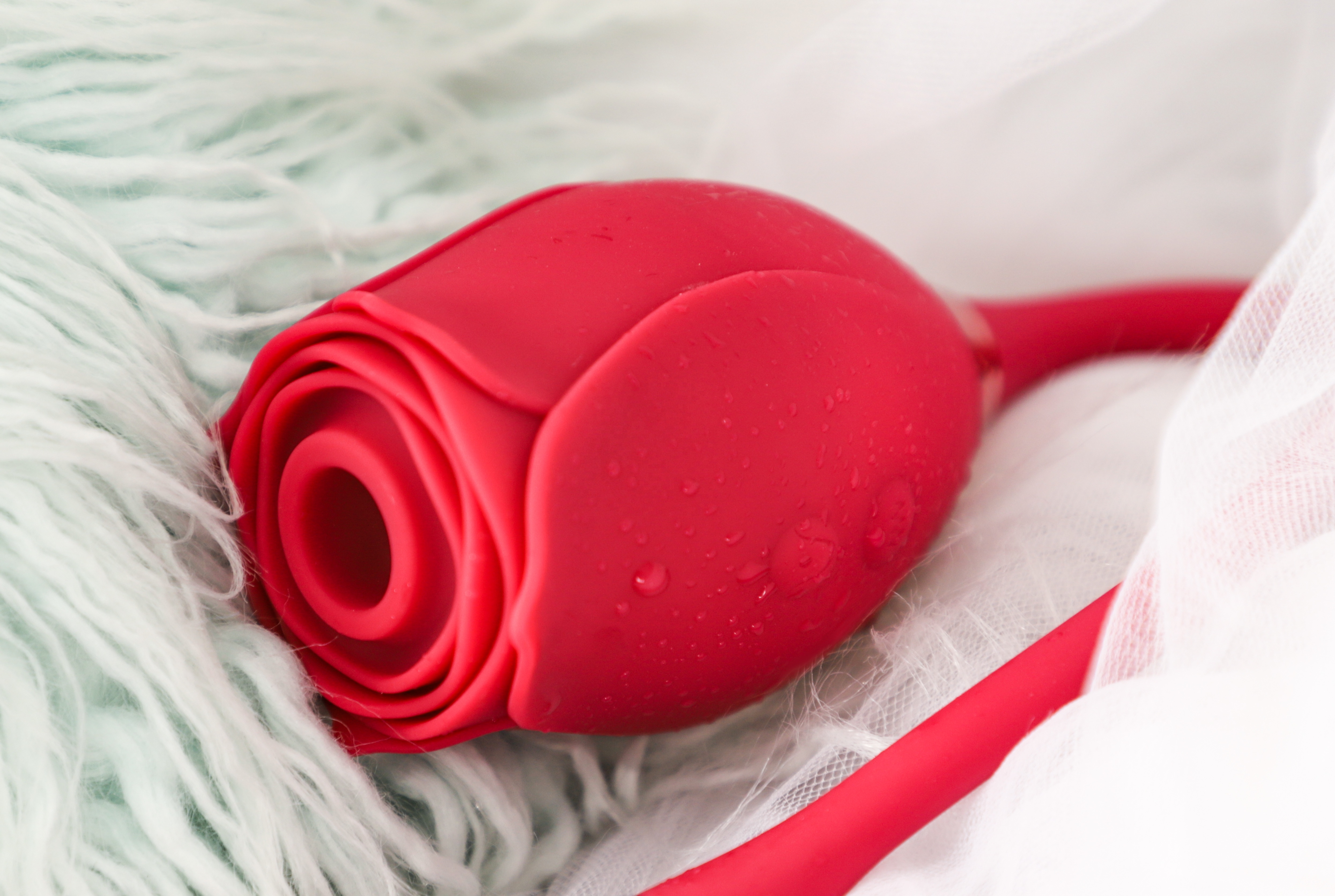 Adult Sex Toys