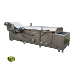 Continuous Blanching Machine Steam Blanching Machine Pepper / Chilli Blanching Machine - Product Image 1