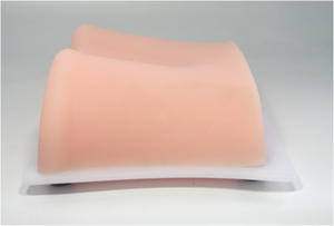 Modelo de Punción Renal Guiada por Ultrasonido para Enseñanza Médica, Modelo de Entrenamiento para Intervención Renal por Ultrasonido - Product Image 4