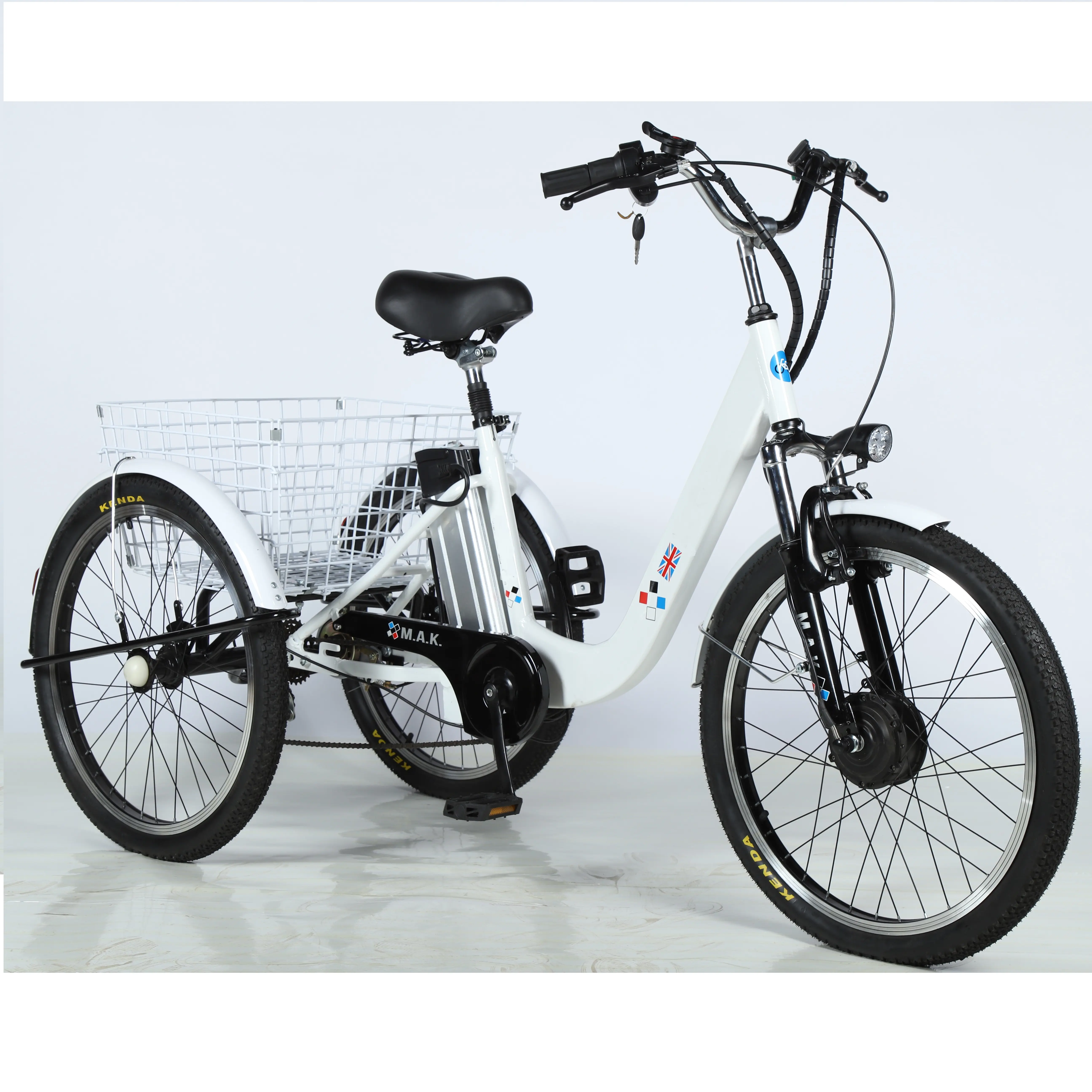 24 inch electric trike 3 wheel Electric Tricycle three wheels adult cargo electric bike with basket