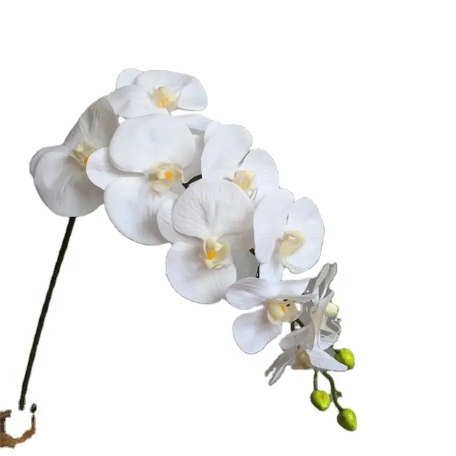 9 सिर रियल टच लेटेक्स अशुद्ध कृत्रिम Phalaenopsis ऑर्किड