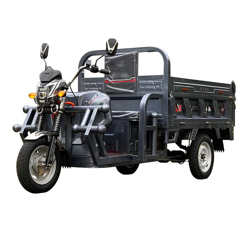 Ba bánh DIESEL hàng hóa bé xe tải cabin kèm theo tipper cà phê giỏ hàng 2 CHỖ NGỒI Ebike động cơ cơ giới cho 3 điện tricycles