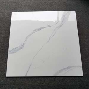 Carreaux de porcelaine émaillée brillante 60x60cm, antidérapants, effet marbre Karara blanc, de haute qualité, couleur blanche, pour salon. - Product Image 1
