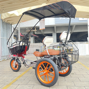 Tricycle électrique tout-terrain à pneus larges, fabriqué en Chine, avec assistance au pédalage, moto électrique - Product Image 3