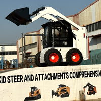 Minicaricatore Skid Steer Economico, Caricatore a Ruote Compatto con Motore CE EPA, Accessori per Skid Steer