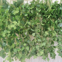 Fleurs de vigne suspendues, verdure artificielle, effet de taches blanches froideuses, pour la décoration de la maison, des festivals, des fêtes, des murs, des mariages et des plafonds
