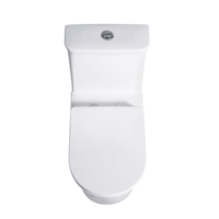 FEIDU Offre Spéciale Design de luxe Toilettes siphoniques à chasse d'eau monobloc Prix usine Salle de bain WC pour salles de bain haut de gamme