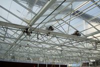 Invernaderos Tropicales de Policarbonato PC y Sistemas de Cultivo Hidropónico Comercial para Tomate, Lechuga y Fresa