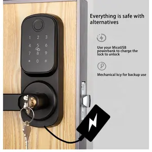 Kunci pintu pintar tanpa kunci sidik jari, kunci pintu pintar kata sandi, kunci pintu digital, kunci zigbee, wifi, kunci tuya