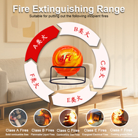 Boule d'extinction d'incendie en polypropylène certifiée CE, poudre sèche, portable, haute qualité, utilisation automobile, lutte efficace contre l'incendie, classe B, 5 ans