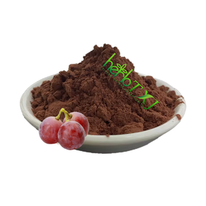 Hot bán chiết xuất hạt nho proanthocyanidins hạt nho 95% <span class=keywords><strong>OPC</strong></span> - Product Image 1