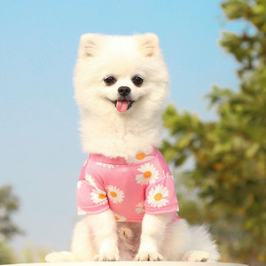 Camiseta Shine And Shine para perros pequeños, ropa de verano de manga corta a la moda para Teddy Bichon Frise - Product Image 3