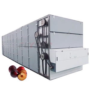 Equipo de secado de malla profesional OEM para procesamiento de ciruelas, máquina de secado de frutas - Product Image 1