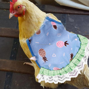 Selles de poulet pour poules poulet imprimé tabliers vêtements sangle élastique poule gilet aile vêtements de protection volaille poulet selles - Product Image 2