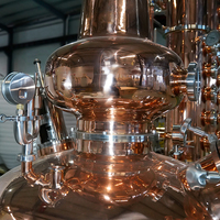 Sistema de Destilación de Whisky Personalizado, Equipo de Destilación de Alcohol para la Producción de Licores Premium