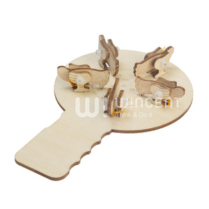 Kit Educativo STEM in Legno Wincent con Esperimenti Pratici e Puzzle per Età 5+ Difficoltà 3 Stelle - Product Image 3