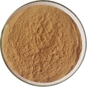 Extrait de fines herbes Extrait de busserole Acide ursolique <span class=keywords><strong>Arctostaphylos</strong></span> Uva-ursi - Product Image 2