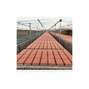 Gạch chuyên nghiệp, bền, thấm nước, thiết kế mới với khả năng hấp thụ nước tuyệt vời, dùng cho đô thị và khu dân cư - Product Image 1