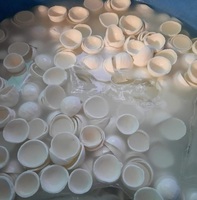 Bulk biologische witte bevroren kokosvleesstokjes vacuüm verpakt met waterbehoud