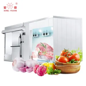 China Goedkope Mini Koude Opslagruimte 3 Ton Vriezer Voor Fruit Koude Kamer Lopen In Vriezer