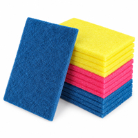Ensemble de tampons à récurer en polyester tricolores avec toile en fibres de polyester grossières, outil de nettoyage pour la maison, la cuisine, les éviers, les casseroles et les poêles