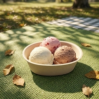 Herbruikbare wegwerpkommen van 200 ml, biologisch afbreekbaar, van bagasse en pulp, met deksel voor yoghurt, ijs en fruit.