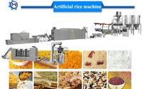 Ligne de production de riz nutritionnel entièrement automatique en acier inoxydable, extrudeuse à double vis, haute capacité, pour le traitement des grains de riz enrichis