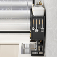 Égouttoir à vaisselle à 2 niveaux pour évier, armoire anti-poussière en acier au carbone avec porte, organisateur de rangement de cuisine multifonctionnel