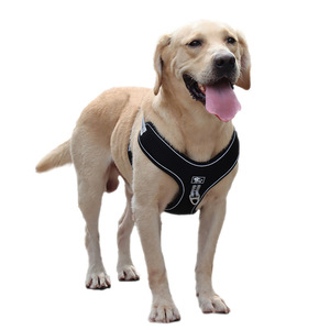 Arnês De Cão De Luxo Com Trela Durável Dog <span class=keywords><strong>Harness</strong></span> Set À Prova De Explosão Reflexivo Respirável Ajustável Acessórios Do Cão - Product Image 1