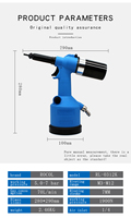 Pistolet à rivets pneumatique professionnel RL-0312(K) en acier inoxydable, économique, durable, outils de pose de goujons de sécurité, garantie de 6 mois