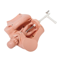 Simulador de Parto Avanzado de Anatomía Médica, Maniquí para Entrenamiento de Habilidades de Parto, Modelo para Entrenamiento Médico, Ciencias Médicas