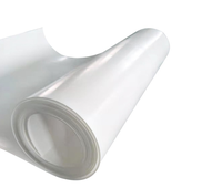 Feuille de PTFE pur de haute qualité 3mm et 4mm d'épaisseur nouveau matériau