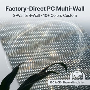 Plaque alvéolaire en polycarbonate de 8 mm avec revêtement UV de 50-100 micromètres pour panneaux de ventilation de toiture de bâtiments avicoles et d'élevage - Product Image 2