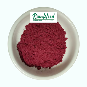Оптовая продажа, экстракт кошенили Красного кармина, порошок, мешок 25 кг, пищевой кошениль, кармин - Product Image 2