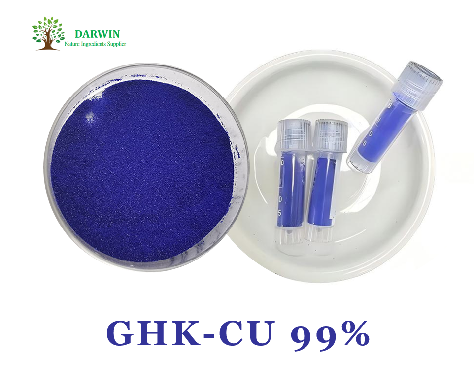 ghk-cu-supplier DARWIN Supply High Quality Wild GHK-Cu Copper Peptide Powder 99% Vacuum Packed Drum Packaging Cosmetic Grade bpc-157 human clinical trials Size and Gauge:31 Gauge, 0.5 cc, 1/4