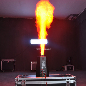Projecteur de Flammes Professionnel DMX512 à 6 Angles en Métal pour Scène, Machine à Effets de Feu 200W, Contrôle à Distance/Manuel pour <span class=keywords><strong>DJ</strong></span>/Disco/Mariage - Product Image 6