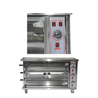 Four à rôtir la viande au gaz et électrique en acier inoxydable, équipement de cuisson pour canard rôti, grill à poulet - Grande Vente