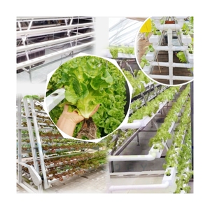 Nft Hệ thống giá thủy canh nhà kính lettuces a-loại nft kênh dọc thiết bị nông nghiệp nft Hệ thống giá thủy canh phát triển hệ thống - Product Image 4
