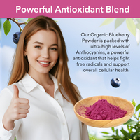 AMULYN Extrait de Myrtille Sauvage Lyophilisé Biologique Naturel en Poudre, Testé HPLC, Emballage Sous Vide, Anthocyanes de Qualité Alimentaire