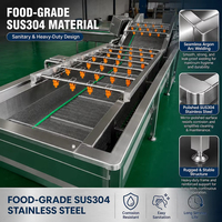 Fruit- en groenteverwerkingsmachines, fruit- en groentewasmachine, bubbelwasmachine voor fruit en groenten