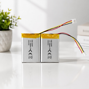 <span class=keywords><strong>Batteria</strong></span> Ricaricabile XMX Li-polimero 523450 3.7V ad Alta Densità Energetica 1000mAh per Dispositivi Medici, Garanzia <span class=keywords><strong>1</strong></span> Anno, Disponibile - Product Image 6