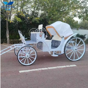 Nuevo carro turístico de recepción escénica eléctrica con 4 ruedas Modo de transporte de lujo - Product Image 3