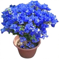 Plante de Bougainvillier Artificielle Générique en Pot, Fleurs Multicolores (Rouge/Rose/Jaune/Blanc/Orange) en Matériau Synthétique