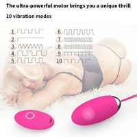Meistverkaufter Ferngesteuerter Vibrator Weiblicher Massagestab USB Aufladbar 10 Geschwindigkeiten Tragbar Wasserdicht Geräuscharm Sexspielzeug